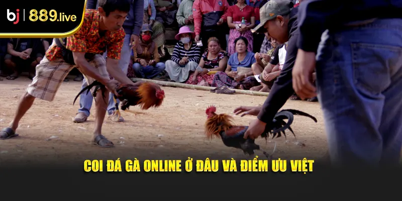 Coi đá gà online ở đâu và điểm ưu việt