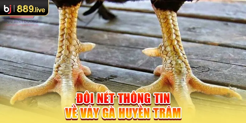 Đôi nét thông tin về vảy gà huyền trâm