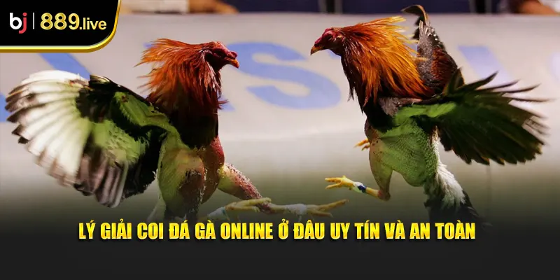 Lý giải coi đá gà online ở đâu uy tín và an toàn