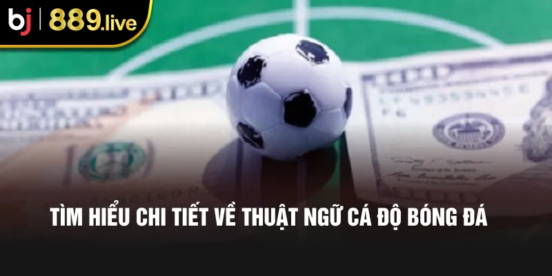 Tìm hiểu chi tiết về thuật ngữ cá độ bóng đá