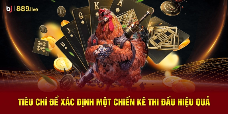Tiêu Chí Để Xác Định Một Chiến Kê Thi Đấu Hiệu Quả
