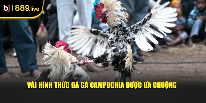 Vài hình thức đá gà Campuchia được ưa chuộng
