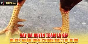 Vảy gà huyền trâm thumb