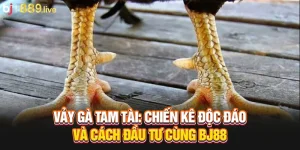 Vảy gà tam tài thumb