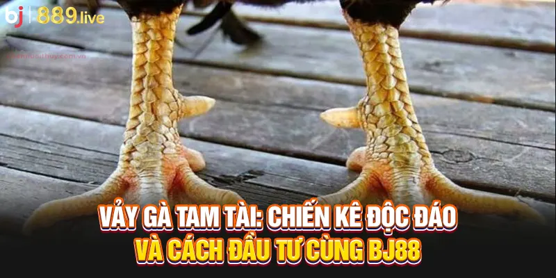 Vảy gà tam tài thumb