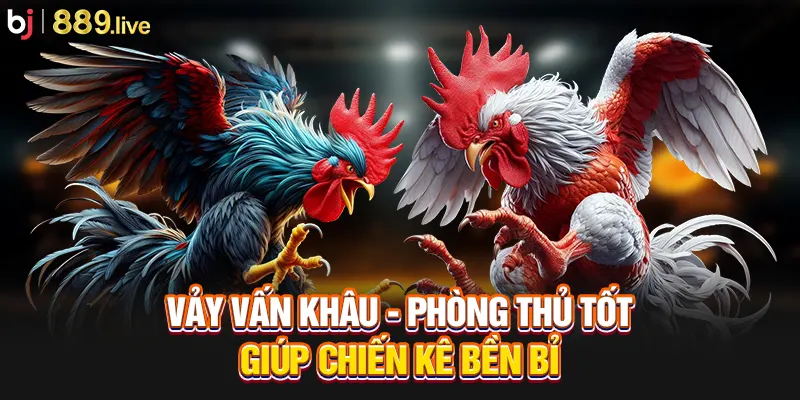 Vảy Vấn Khâu - phòng thủ tốt, giúp chiến kê bền bỉ